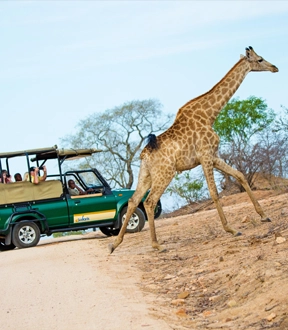 Africa