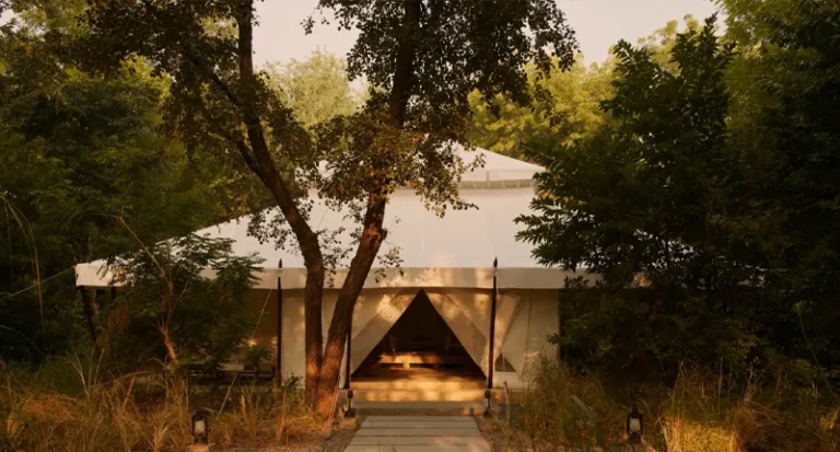 Large white luxury safari tent surrounded by lush green trees