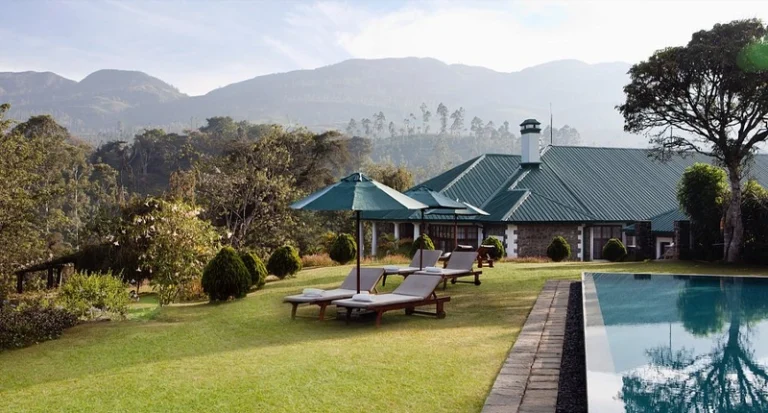 ceylon-tea-trails-768x413