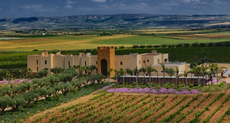 Luxury vineyard resort estate with a central stone tower surrounded by rolling countryside