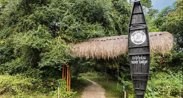 Diphlu River Lodge entrance in Kaziranga surrounded by lush greenery