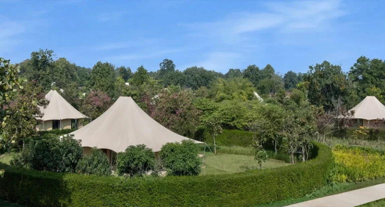 Luxury safari glamping tents surrounded by lush manicured gardens and forest