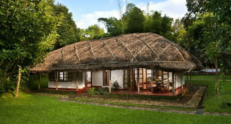 Traditional thatched-roof cottage surrounded by greenery