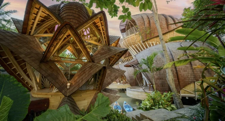 Architectural bamboo eco resort villa shaped like a lotus pod in tropical jungle