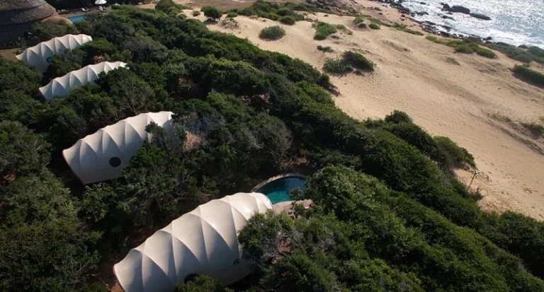 Aerial view of luxury cocoon tented suites in coastal jungle along sand dunes